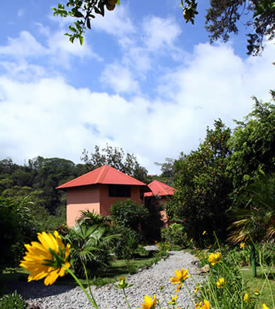 Cabin for Rent in Boquete, Panama