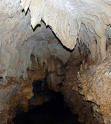Cave in Bocas del Toro, Panama