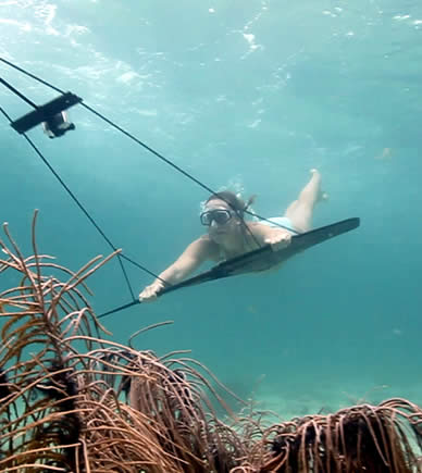 Deep boarding with snorkel in Bocas del Toro, Panama